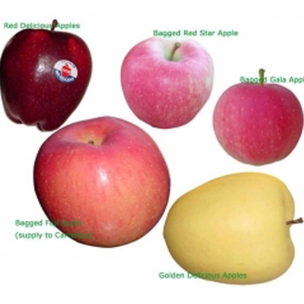Small Red Delicious Apple Nutrition Facts Besto Blog